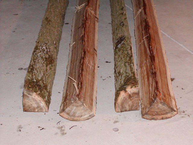 more elm