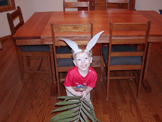 Palm Sunday 4