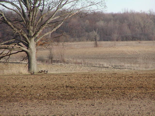 P1010007