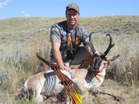 Antelope 2010