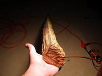 Elm splits from a 6" log Dan cut in the woods today