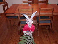 Palm Sunday 4