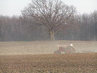 P4190082