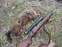 Wed Apr  4 08:46:46 2007