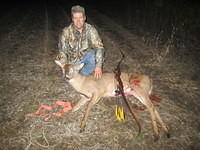 6pt