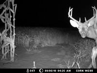 Mon Sep  6 04:25:01 2010