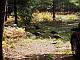 100_0344.jpg