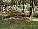 100_0358.jpg