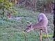100_0395.jpg