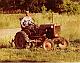 Dick_on_Allis_Chalmers.jpg